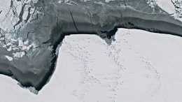 Green Iceberg East Antarctica 2023
