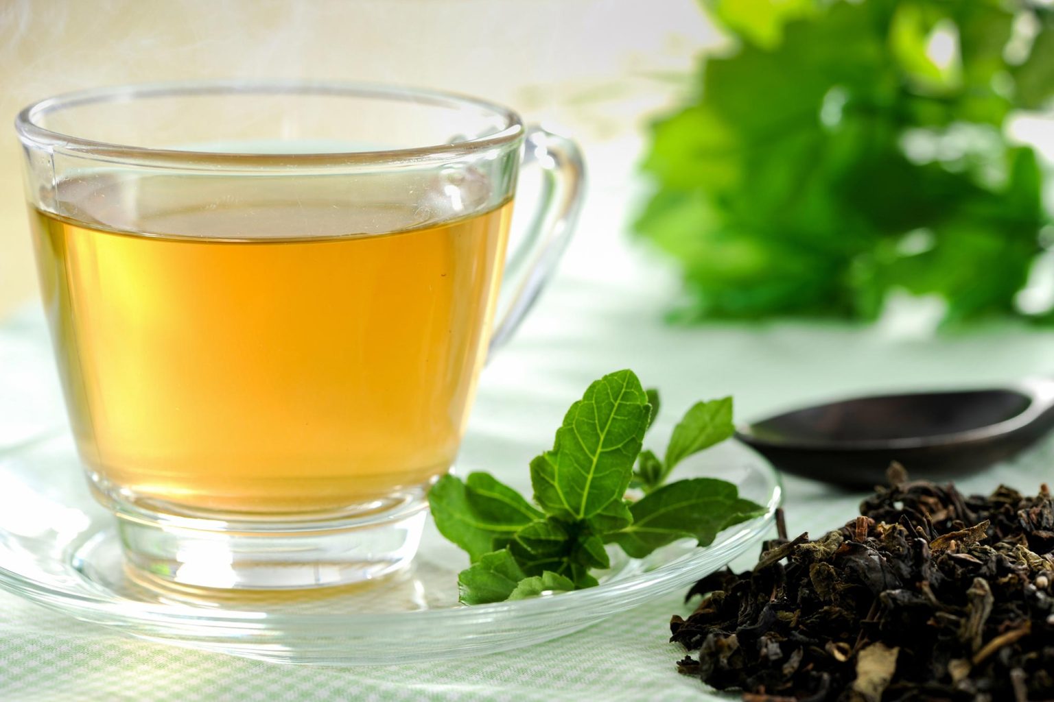 Green Tea Found To Improve Gut Health and Lower Blood Sugar