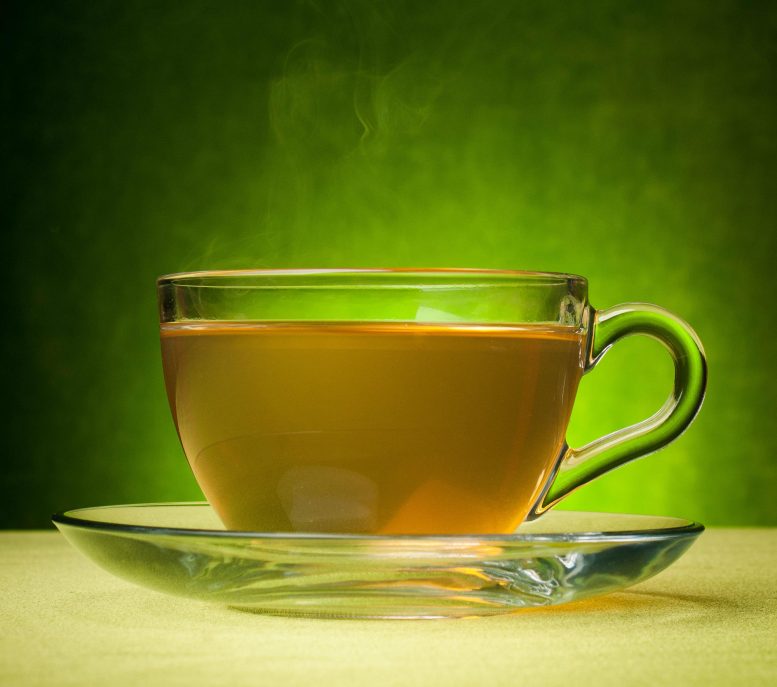 Green Tea Concept