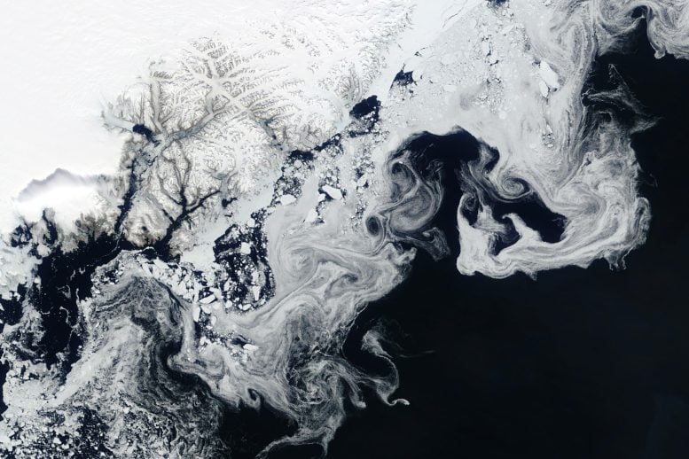 Greenland Sea Ice