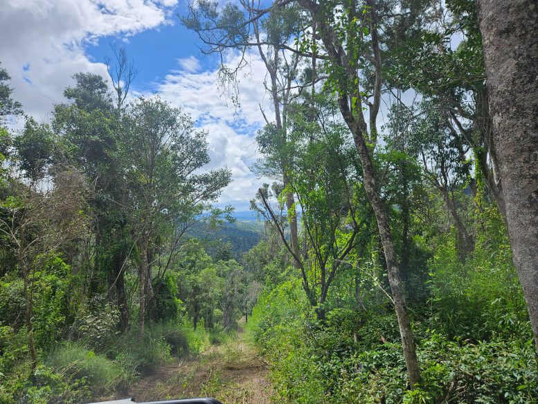 Grongah National Park