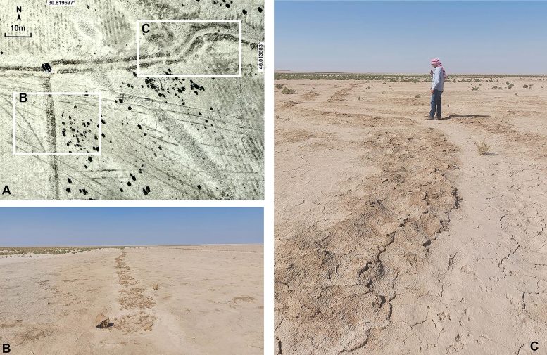Ground Truthing of the Remote Sensing Work Mesopotamia