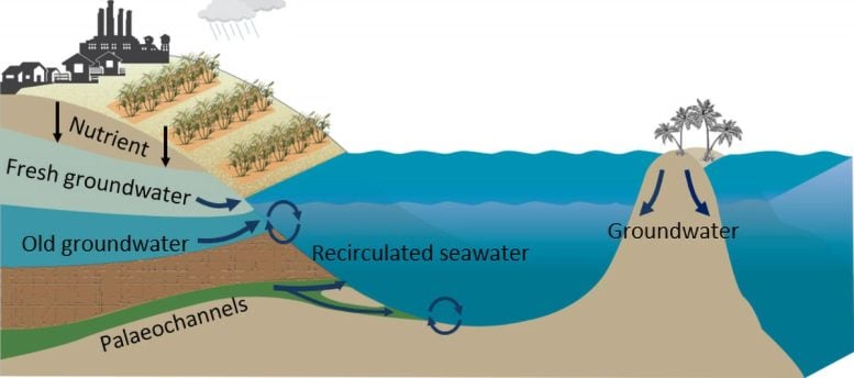 Groundwater Sources Entering Great Barrier Reef