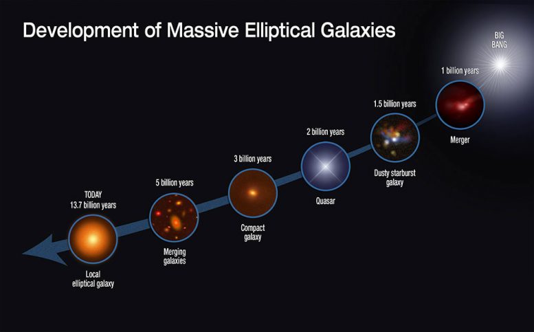Growth of Massive Elliptical Galaxies Over 13 Billion Years