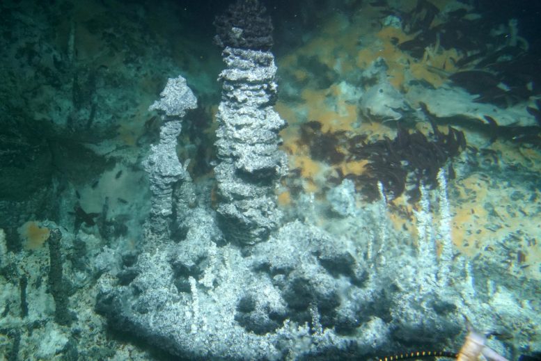 Guaymas Basin Hydrothermal Vents