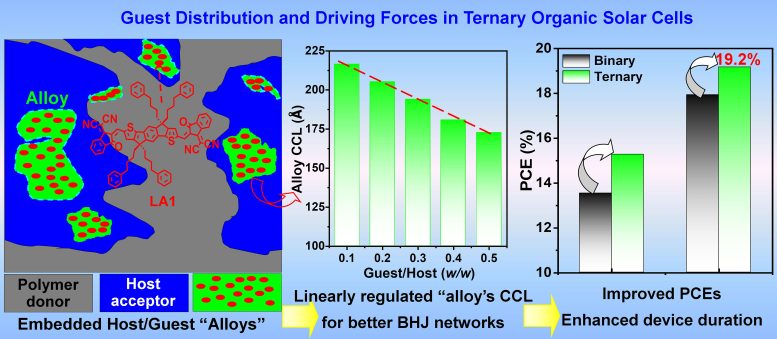 Guest Distribution Driving Forces Ternary Organic Solar Cells