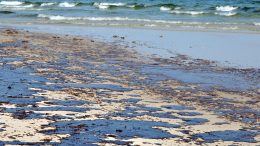 Gulf Oil Spill on a Beach
