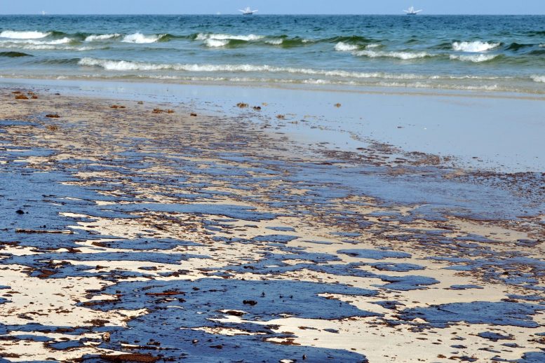 Gulf Oil Spill on a Beach