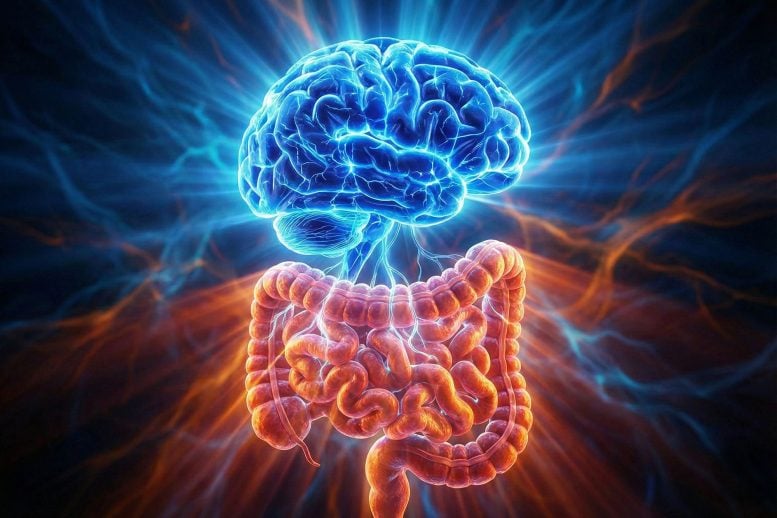 Gut Brain Connection Glowing