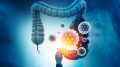 Gut Microbiome Illustration