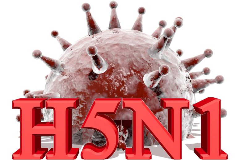 H5N1 Concept