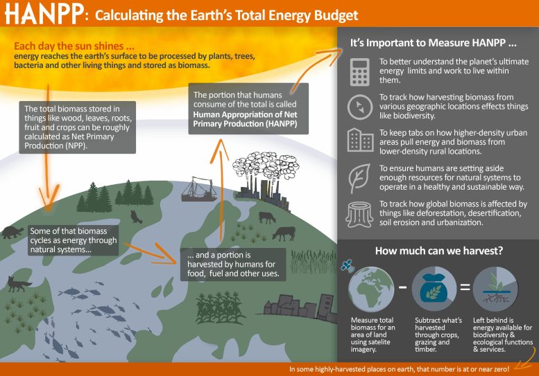 HANPP Calculating the Earth's Total Energy Budget