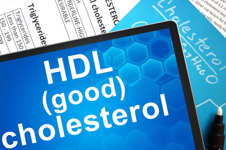 HDL Good Cholesterol