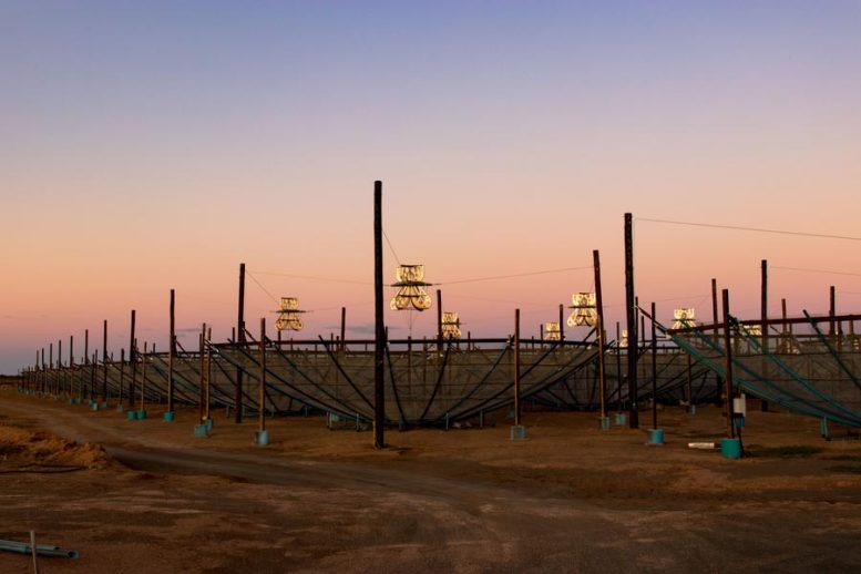 HERA​ Radio Interferometric Array in Karoo Desert