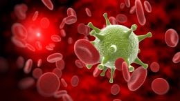 HIV Virus Blood Stream