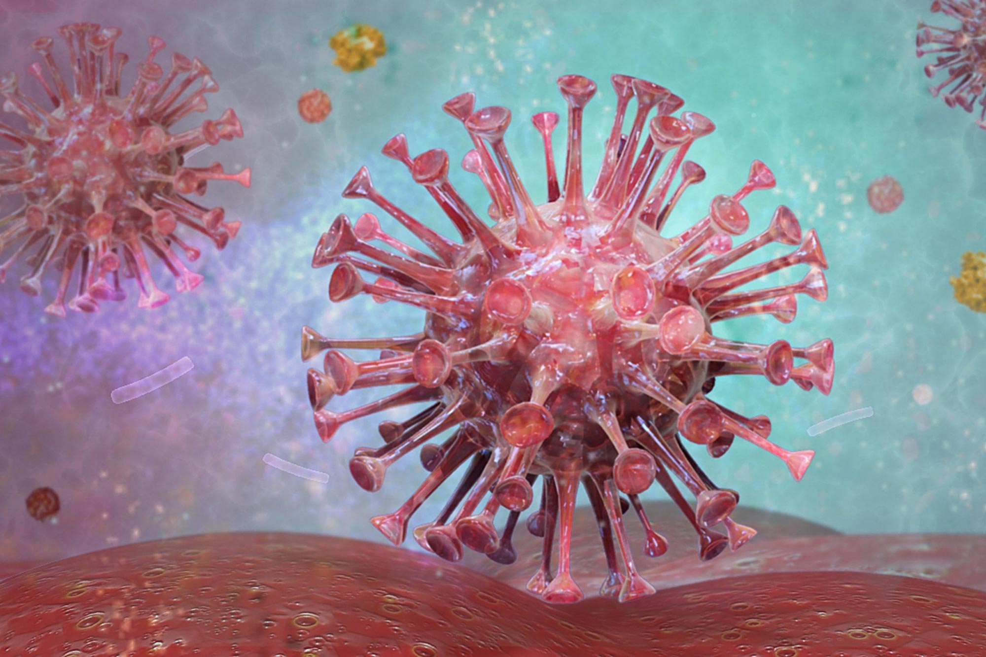 HIV Virus Illustration
