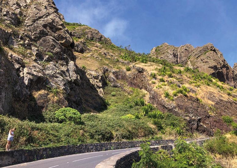 Habitat of Eyprepocprifas insularis on S&atilde;o Nicolau, Cape Verde
