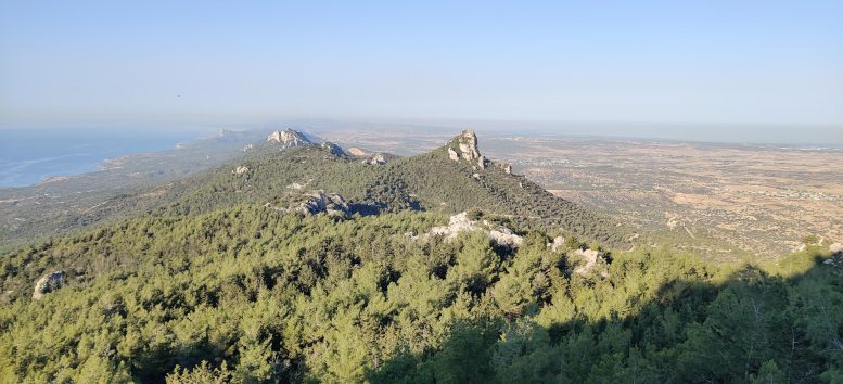 Habitat of Ingrid Maria&rsquo;s Carcina