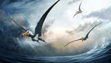 Fearsome New Flying Predator Unveiled by 100-Million-Year-Old Bones Discovered in Queensland