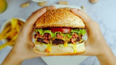 Hamburger Unhealthy Junk Food Obesity