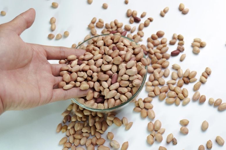 Hand Bowl Peanuts