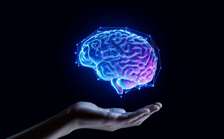 Hand Holding Brain Analysis