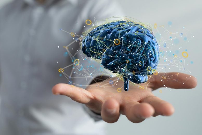 Hand Holding Digital Human Brain Idea