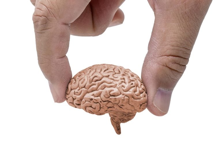 Scientists Want Your Brain to Study Autism. Here’s Why