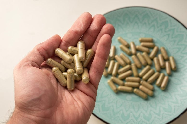 Kratom-Konsum explodiert in den USA mit lebensverändernden Folgen