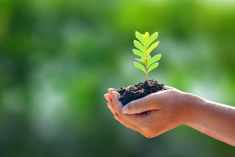 The World May Be Much Closer to a Major Conservation Goal Than Scientists Thought