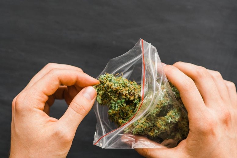 Your Weed Might Not Be As Strong as the Label Says, Scientists Find