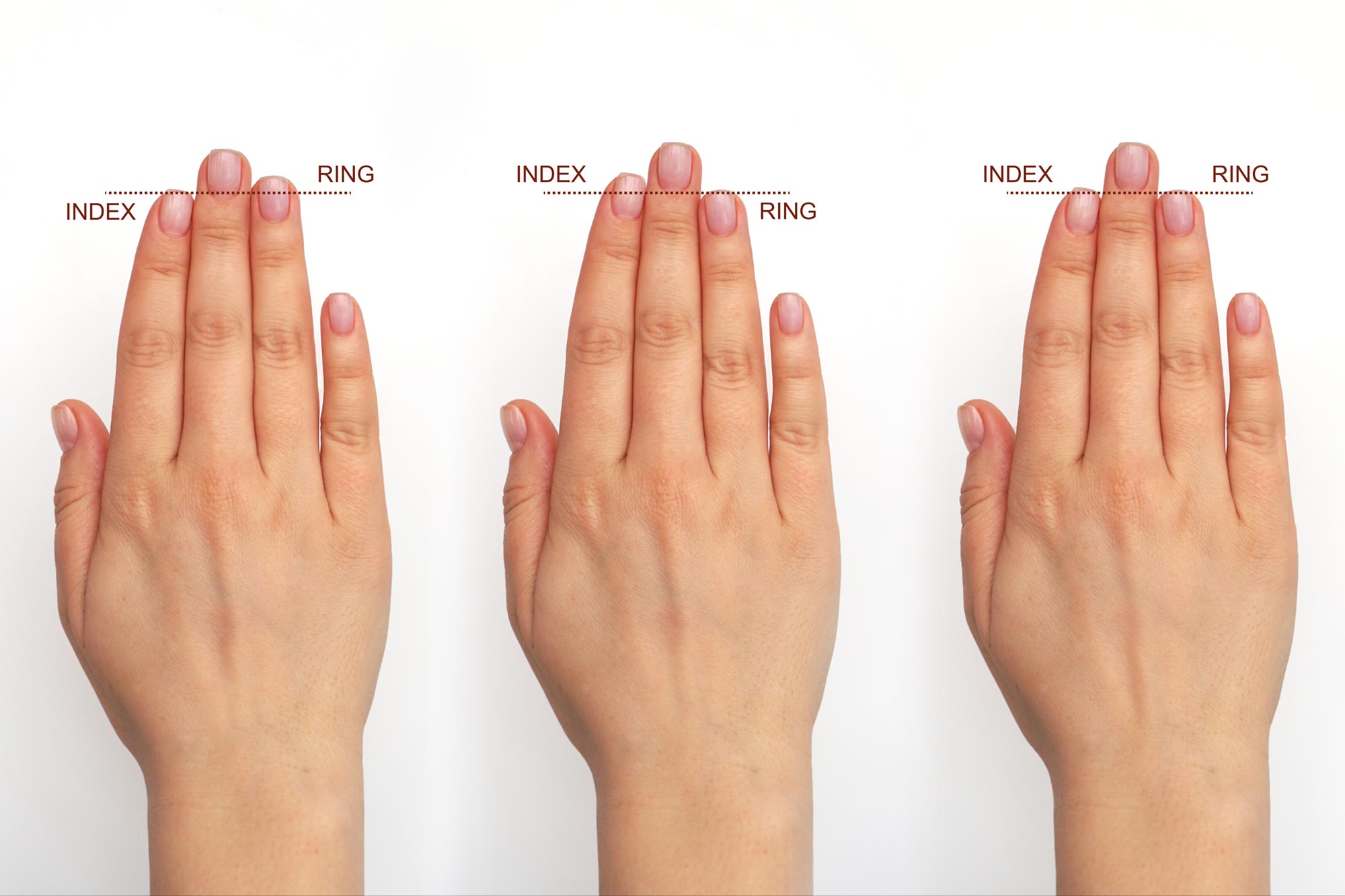 Scientists Say Your Fingers Hold a Secret of Brain Evolution