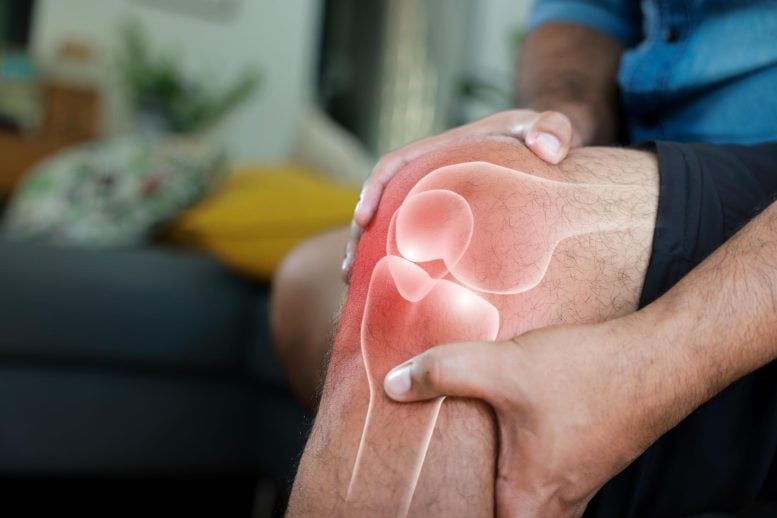 Kids Exposed to “Forever Chemicals” May Grow Up With Weaker Bones