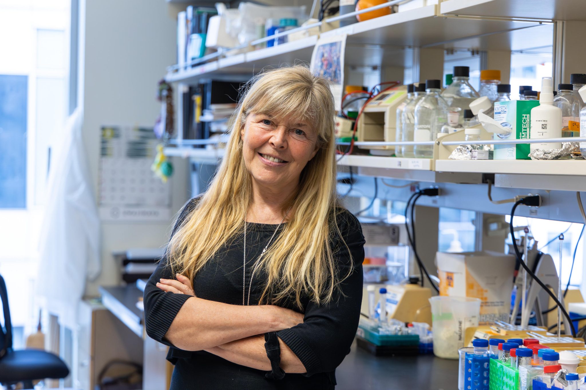 No More Cavities? Organoids Pave the Way for Enamel Regeneration 