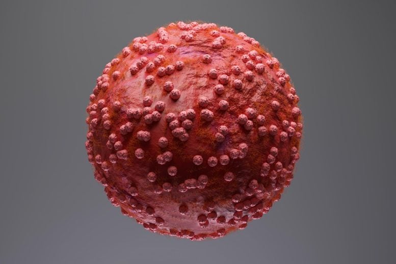 Hantavirus Orthohantavirus