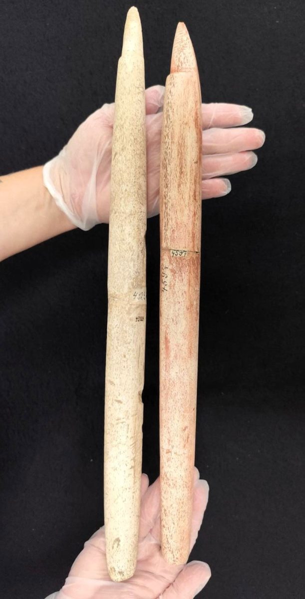 Hapoon Foreshafts