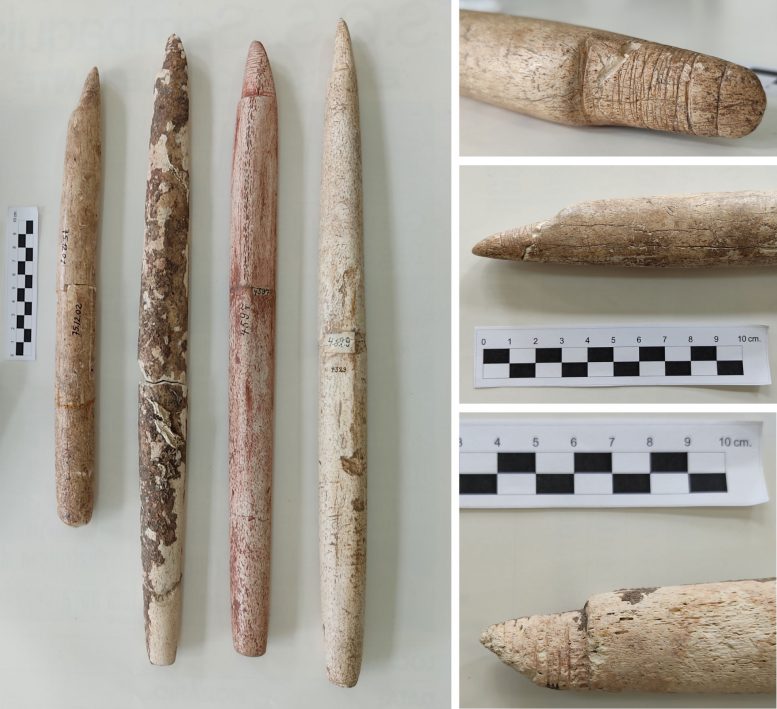 Hapoon Foreshafts Compared With One Another