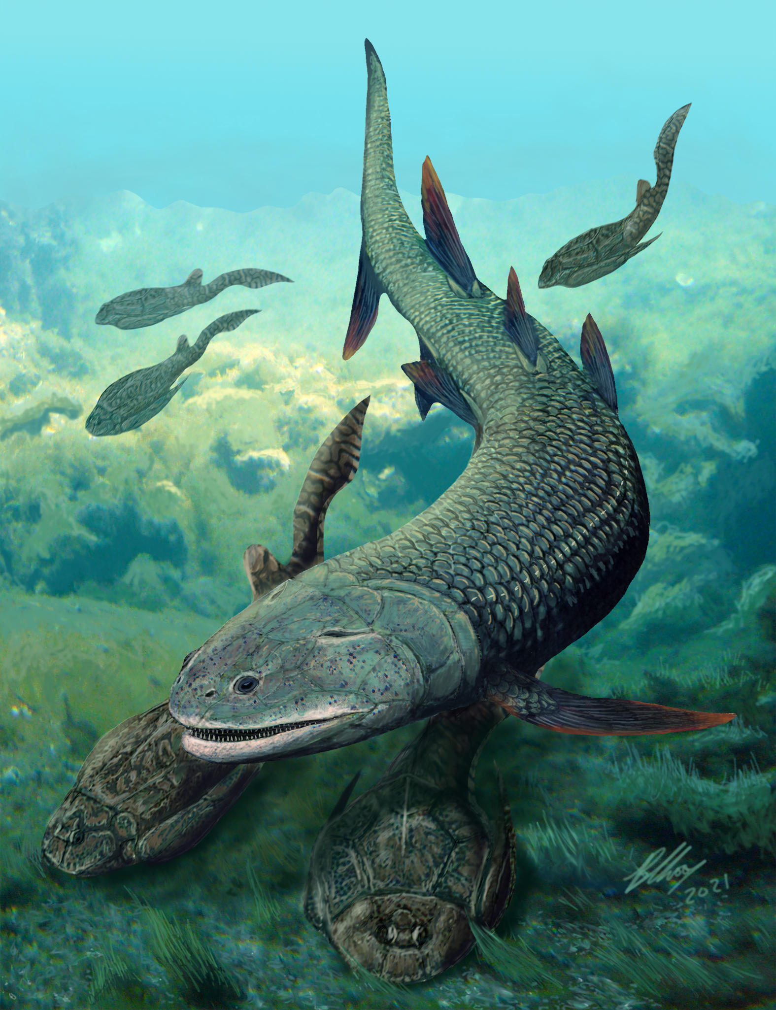 Scientists have discovered a strange ancient fish, 380 million years old, that breathes air