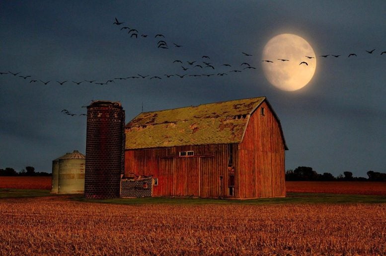 Harvest Moon Rises Over Barn