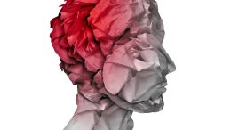 Head Blood Brain Artist's Concept