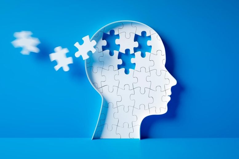Head Brain Diseases Puzzle Pieces Autism Mental Health