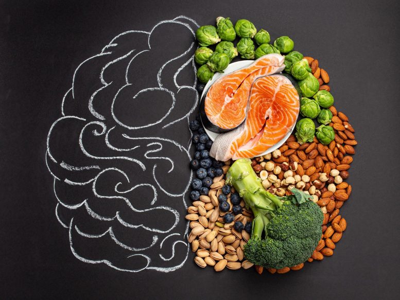 Healthy Brain Foods
