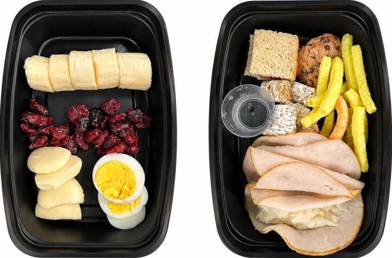 Healthy and Processed Food