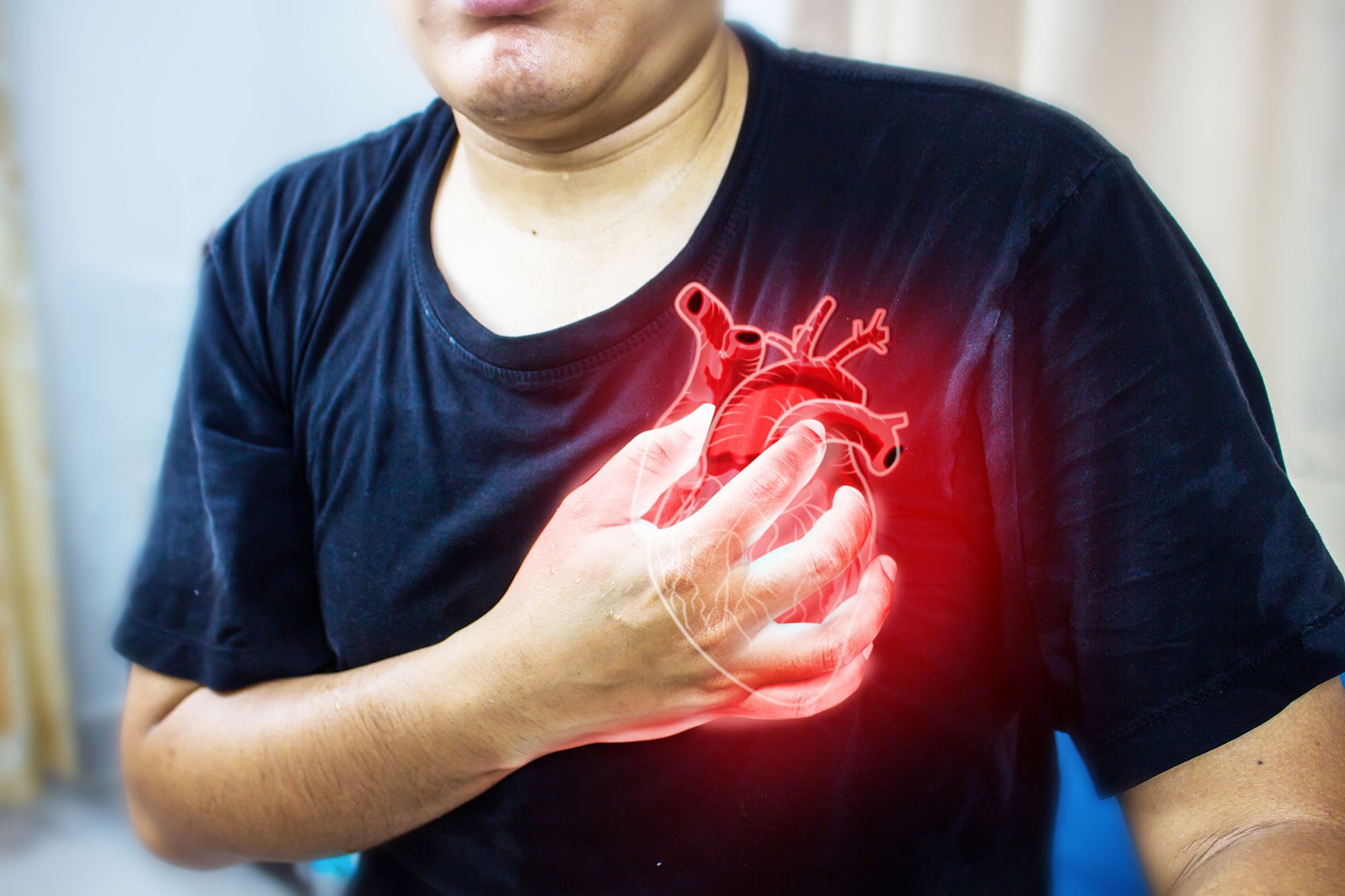 Scientists Discover a Protein That Literally Punches Holes in the Heart After a Heart Attack