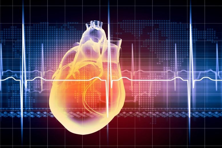 Heart Beat Technology