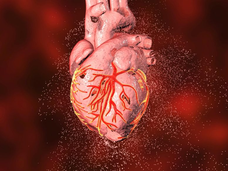 Heart Damage Destruction Illustration