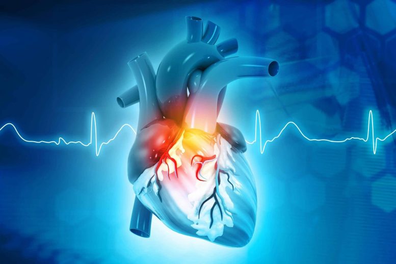 Heart Rate Disease Concept