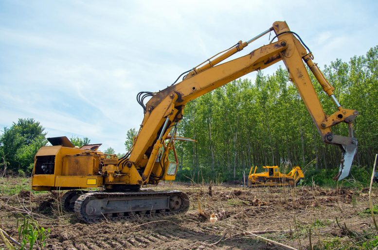 Heavy Equipment Forestry