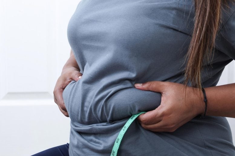 Brot könnte dazu führen, dass Sie auch ohne mehr zu essen zunehmen