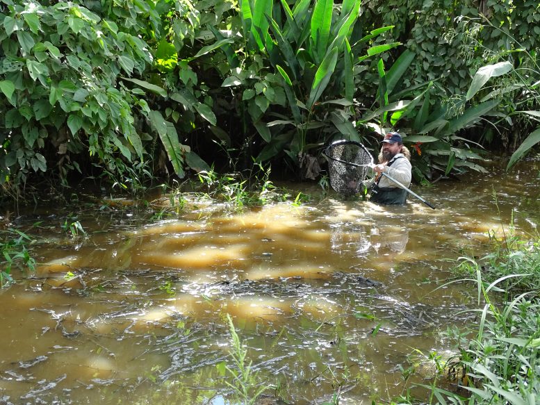 ����� ���� �������